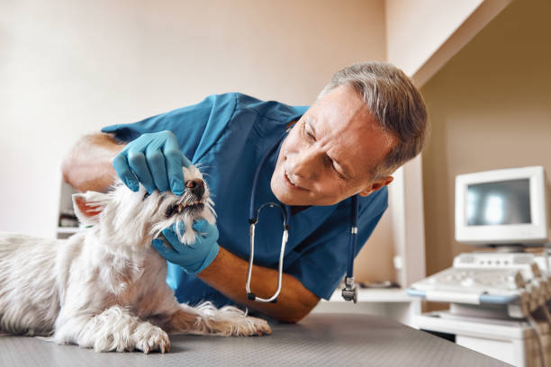 Best Emergency Tooth Extraction in Hacienda Heights, CA